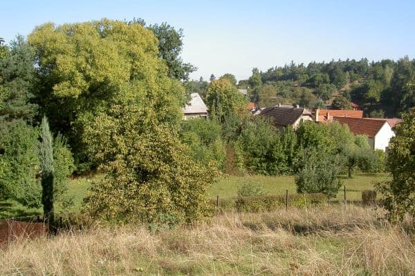 Predaj pozemku 1.171 m², Obecní, Predaj pozemku 1.171 m², Obecní,
