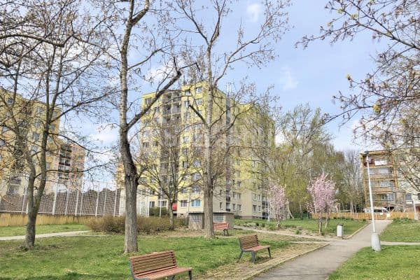 Prenájom bytu 3-izbový 65 m², Kocianova, Praha Prenájom bytu 3-izbový 65 m², Kocianova, Praha