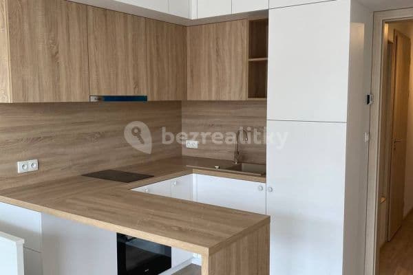 Prenájom bytu 1-izbový 30 m², Do Zahrádek Ⅰ, Prenájom bytu 1-izbový 30 m², Do Zahrádek Ⅰ,