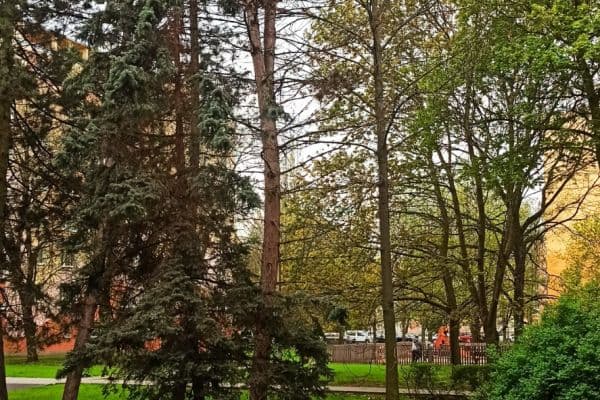 Prenájom bytu 1-izbový 37 m², Vrchlického, Prenájom bytu 1-izbový 37 m², Vrchlického,