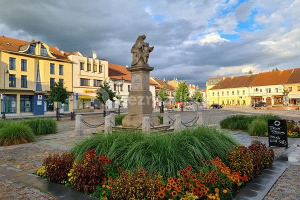 Prenájom bytu 1-izbový 55 m², Masarykovo náměstí, Brandýs nad Labem-Stará Boleslav Prenájom bytu 1-izbový 55 m², Masarykovo náměstí, Brandýs nad Labem-Stará Boleslav