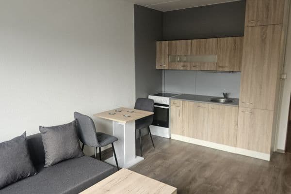Prenájom bytu 1-izbový 44 m², Krašovská, Plzeň Prenájom bytu 1-izbový 44 m², Krašovská, Plzeň