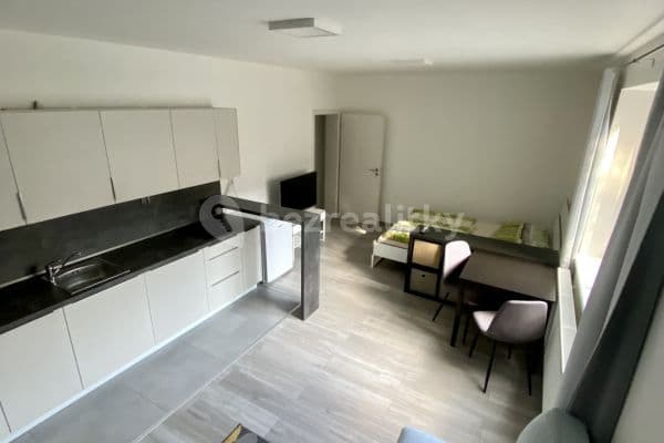 Prenájom bytu 1-izbový 30 m², Hlavní, Brno, Jihomoravský kraj