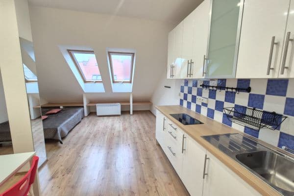 Prenájom bytu 1-izbový 30 m², Tolstého, Praha Prenájom bytu 1-izbový 30 m², Tolstého, Praha