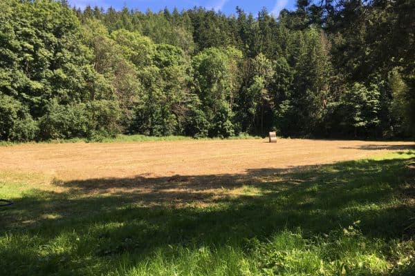 Predaj pozemku 6.060 m², Hlavní, Predaj pozemku 6.060 m², Hlavní,