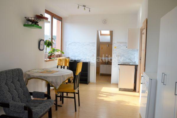Prenájom bytu 1-izbový 28 m², Brno