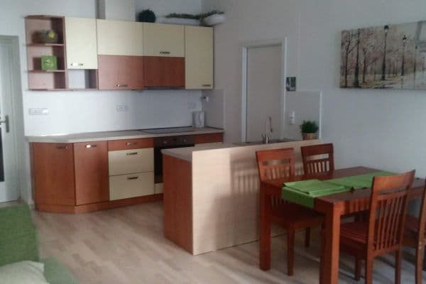 Prenájom bytu 2-izbový 54 m², Husovická, Brno, Jihomoravský kraj Prenájom bytu 2-izbový 54 m², Husovická, Brno, Jihomoravský kraj