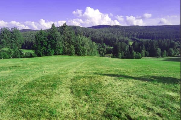 Predaj pozemku 7.699 m², Zdíkov Predaj pozemku 7.699 m², Zdíkov