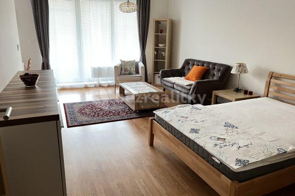 Prenájom bytu 1-izbový 40 m², Blšanecká, Praha