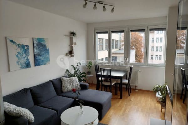 Prenájom bytu 2-izbový 50 m², U Svobodárny, Praha
