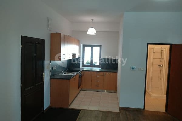 Prenájom bytu 2-izbový 53 m², Žitavského, Praha Prenájom bytu 2-izbový 53 m², Žitavského, Praha