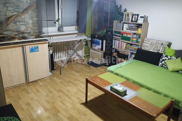 Prenájom bytu 1-izbový 38 m², Dřevařská, Brno