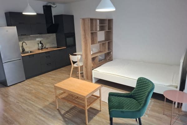 Prenájom bytu 1-izbový 31 m², U Potoka, Mělník, Středočeský kraj Prenájom bytu 1-izbový 31 m², U Potoka, Mělník, Středočeský kraj