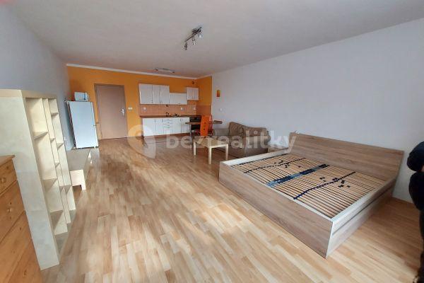 Prenájom bytu 1-izbový 47 m², Suchovrbenské nám., České Budějovice