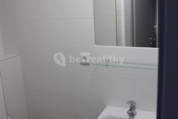 Prenájom bytu Garsoniéra 18 m², Družstevní, Kněževes Prenájom bytu Garsoniéra 18 m², Družstevní, Kněževes