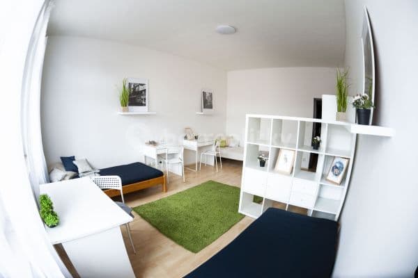 Prenájom bytu 5-izbový 35 m², Spolková, Brno, Jihomoravský kraj