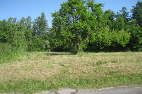 Predaj pozemku 1.217 m², Radějovická, Herink Predaj pozemku 1.217 m², Radějovická, Herink
