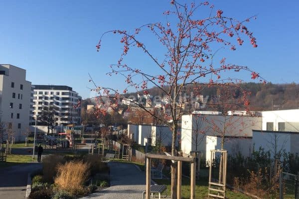 Prenájom bytu 4-izbový 109 m², Walterovo náměstí, Hlavní město Praha Prenájom bytu 4-izbový 109 m², Walterovo náměstí, Hlavní město Praha