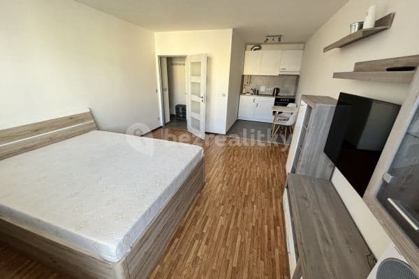 Prenájom bytu 1-izbový 30 m², Balbínova, Praha Prenájom bytu 1-izbový 30 m², Balbínova, Praha