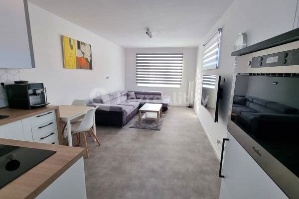 Prenájom bytu 1-izbový 32 m², Dolní Újezd