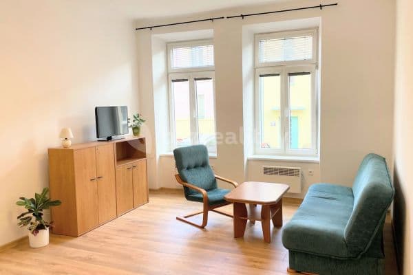 Prenájom bytu 1-izbový 41 m², Příčná, České Budějovice Prenájom bytu 1-izbový 41 m², Příčná, České Budějovice