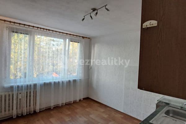 Prenájom bytu 1-izbový 42 m², Čermákova, Plzeň, Plzeňský kraj