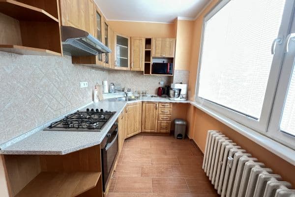 Prenájom bytu 4-izbový 90 m², Na sídlišti, Čížkovice