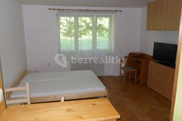 Prenájom bytu 1-izbový 33 m², Potocká, Brno