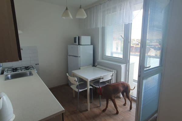 Prenájom bytu 1-izbový 37 m², Na Drážce, Pardubice Prenájom bytu 1-izbový 37 m², Na Drážce, Pardubice