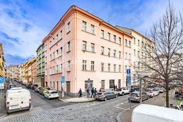Prenájom bytu 1-izbový 40 m², Roháčova, Praha