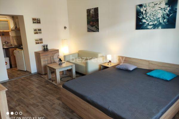 Prenájom bytu 1-izbový 38 m², Hvězdová, Brno