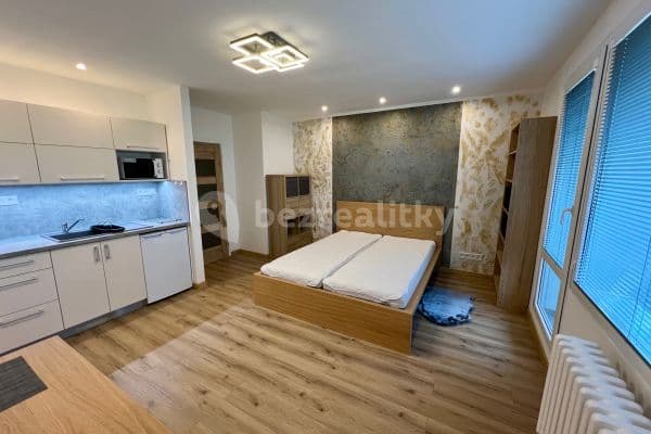 Prenájom bytu 1-izbový 35 m², Okrouhlá, Brno