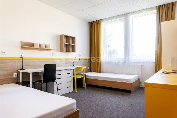 Prenájom bytu 1-izbový 21 m², Vídeňská, Brno