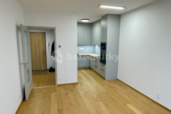 Prenájom bytu 2-izbový 50 m², Hasilova, Praha