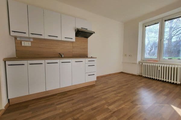 Prenájom bytu 1-izbový 18 m², Mánesova, Prenájom bytu 1-izbový 18 m², Mánesova,