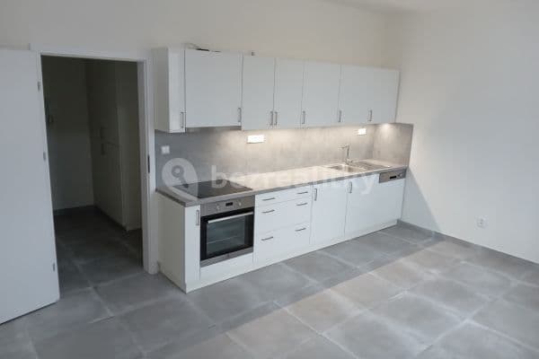Prenájom bytu 1-izbový 38 m², V Pitkovičkách, Praha Prenájom bytu 1-izbový 38 m², V Pitkovičkách, Praha