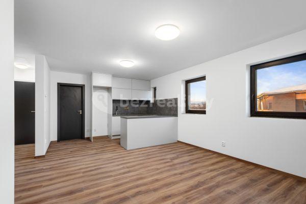 Predaj bytu 3-izbový 56 m², V pěšinkách, 