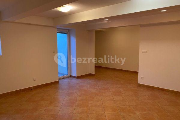 Prenájom bytu 1-izbový 45 m², U Strže, Hlavní město Praha