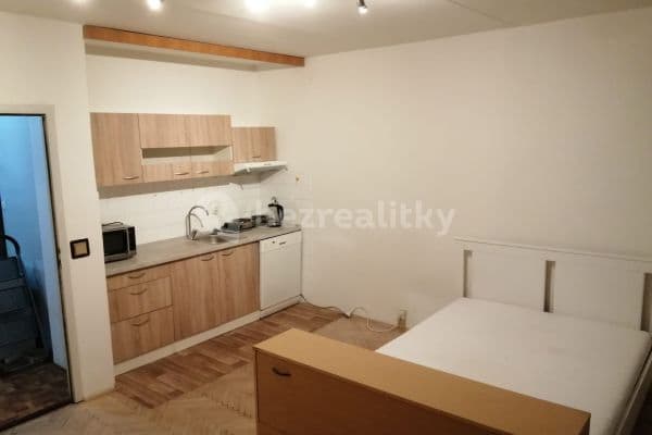 Prenájom bytu 1-izbový 31 m², Ukrajinská, Brno