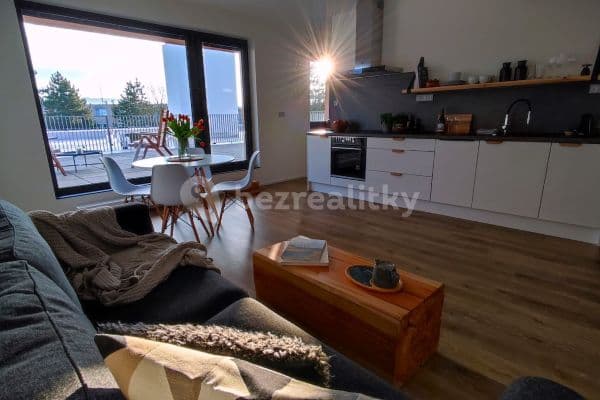 Prenájom bytu 2-izbový 45 m², Měřičkova, Brno
