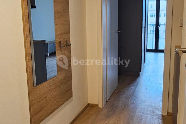 Prenájom bytu 1-izbový 31 m², Bratislavská, Brno, Jihomoravský kraj