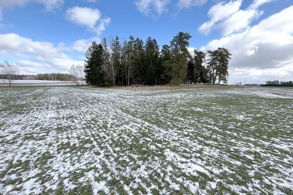 Predaj pozemku 12.416 m², Velký Ratmírov Predaj pozemku 12.416 m², Velký Ratmírov