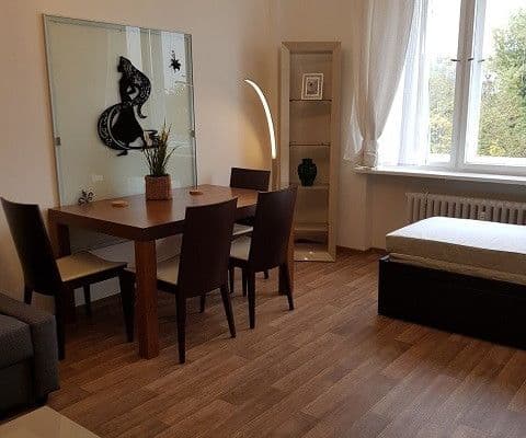 Prenájom bytu Garsoniéra 32 m², Lannova, Praha Prenájom bytu Garsoniéra 32 m², Lannova, Praha