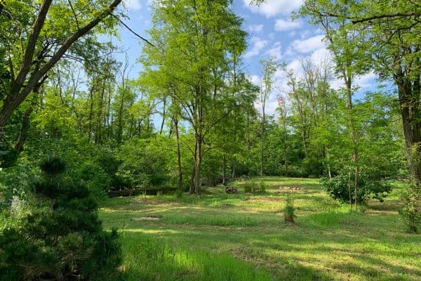 Predaj pozemku 2.112 m², Nebovidy Predaj pozemku 2.112 m², Nebovidy