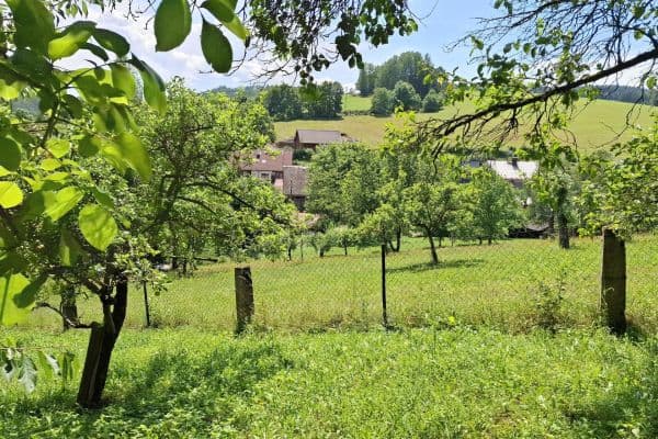 Predaj pozemku Predaj pozemku