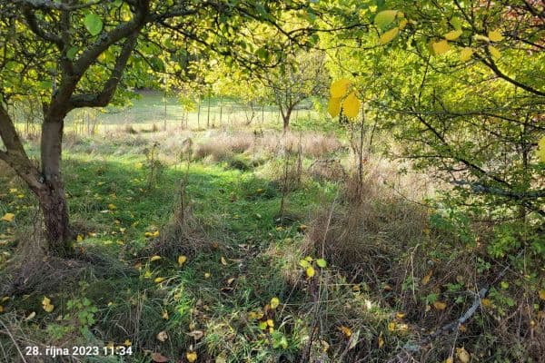 Predaj pozemku 1.161 m², Koloveč Predaj pozemku 1.161 m², Koloveč