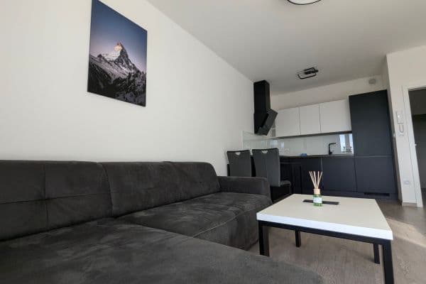Prenájom bytu 2-izbový 50 m², Plotní, Brno Prenájom bytu 2-izbový 50 m², Plotní, Brno