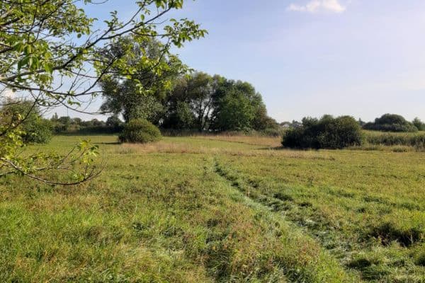 Predaj pozemku 829 m², Záhořanská, Hlavní město Praha Predaj pozemku 829 m², Záhořanská, Hlavní město Praha