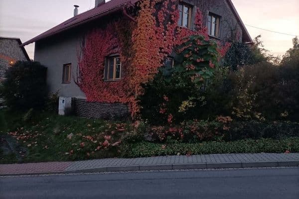 Prenájom rekreačného objektu, Olbramice Prenájom rekreačného objektu, Olbramice