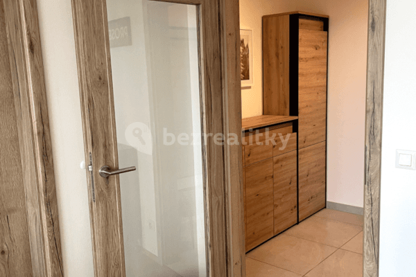 Prenájom bytu 1-izbový 47 m², Řepova, Brno Prenájom bytu 1-izbový 47 m², Řepova, Brno